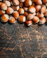 Hazelnuts in the shell. photo