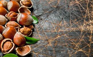 Hazelnut with green leaves . photo