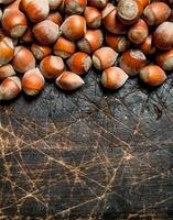 Hazelnuts in the shell. photo