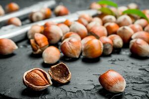 Hazelnuts in a shell with a Nutcracker. photo