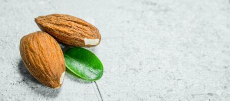 Almonds with green leaves . photo