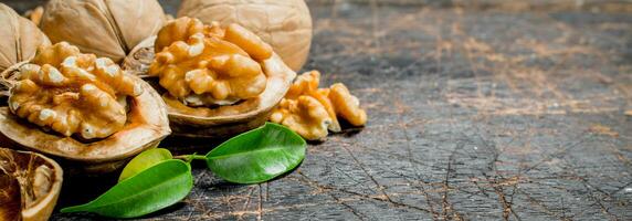 Shelled walnut with green leaves. photo