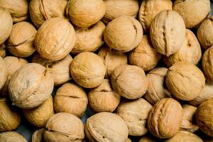 Walnut in shell texture . photo