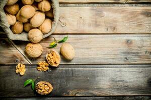 Walnuts in a bag . photo