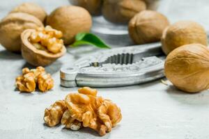 Shelled walnuts with a Nutcracker . . photo