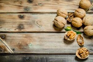 Shelled walnut with green leaves. photo