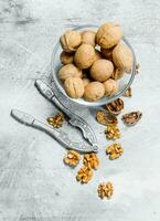 Shelled walnuts with a Nutcracker . . photo