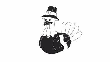 Pilgrim turkey blinking bw 2D character animation. Poultry bird wearing hat outline cartoon 4K video, alpha channel. Thanksgiving. Capotain turkey animated animal isolated on white background video