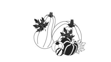 Swaying maple leaves pumpkins bw 2D object animation. Foliage vegetables outline cartoon 4K video, alpha channel. Thanksgiving harvest. Autumn gourds animated element isolated on white background video