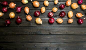 Red and yellow fresh onions. photo