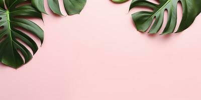 flat lay, monstera leaves on a pink background. tropical leaf border with space for text photo