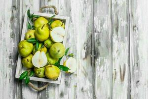 Fresh pears with leaves on tray. photo