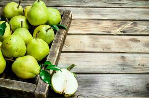 Ripe pears with leaves in tray. photo