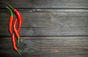 Pods of fragrant hot pepper. photo