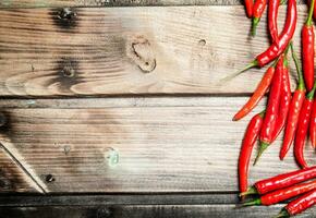 Ripe hot pepper. photo