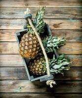 Fragrant pineapples in the box. photo