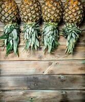 Juicy fresh pineapples. photo