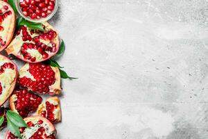 Pomegranate seeds with leaves. photo