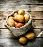 Potatoes in the sack. photo