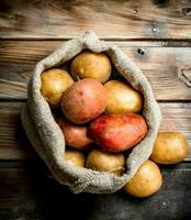 Fresh potatoes in the sack. photo