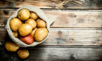 Potatoes in the sack. photo
