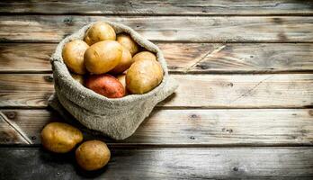 Potatoes in the sack. photo