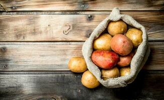 Fresh potatoes in the sack. photo