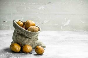 Potatoes in the sack. photo