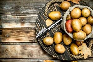 Potatoes in the sack on the tray with potato peeler. photo