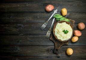 Mashed potatoes with a sprig of parsley . photo