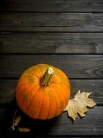 Pumpkin with maple leaves. photo