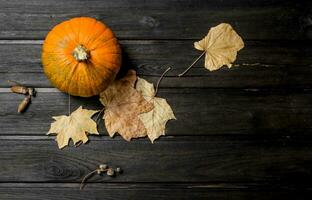 Pumpkin with leaves. photo