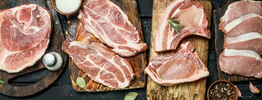 Different kinds of pork meat with spices. photo