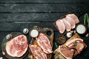 Different kinds of pork meat with spices. photo