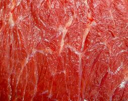 crudo carne.la textura de el carne de res. foto