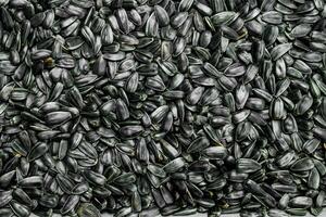 Roasted sunflower seeds. photo