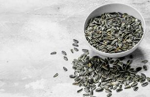 Sunflower seeds in bowl. photo