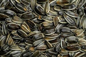 Roasted sunflower seeds. photo