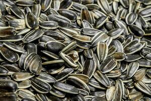 Roasted sunflower seeds. photo