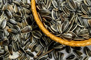 Sunflower seeds in the basket. photo