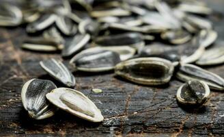 Sunflower seeds on wooden background. photo