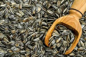 Sunflower seeds with a wooden scoop. photo