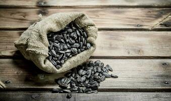 Sunflower seeds in a bag. photo