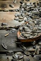 Sunflower seeds with a spoon. photo