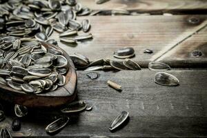 Sunflower seeds with a spoon. photo