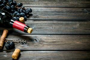 botella de rojo vino con uvas. foto