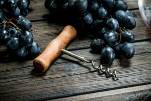 Corkscrew with black grapes. photo