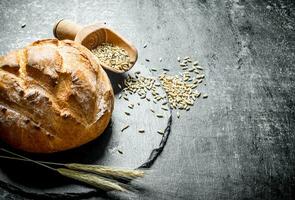 Fragrant bread with grain and spikelets. photo