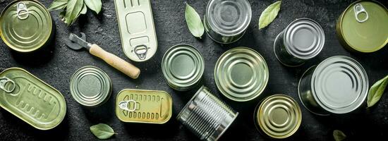 conjunto de diferente tipos de estaño latas con Enlatado alimento. foto