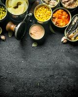 Set of different kinds of canned food. photo